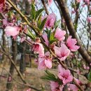 동심어린이공원 이미지