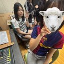 홍주PC방 | 2605 월말정산