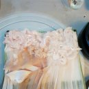 용궁회나라 이미지