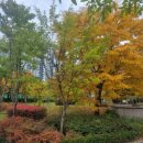 장평체육공원 이미지