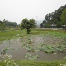 용담마을길 이미지