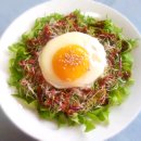 새싹의 아침 이미지