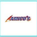 아미쿠스(AMICUS)