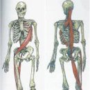 Wellness Gym 이미지