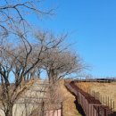 고목목장 이미지