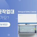 (주)위즈바이오 이미지