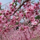 아틀리에빈대가대점 이미지