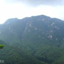 황정리 대흥사 위 이미지