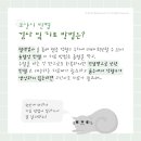 부평종합동물의료센터 이미지