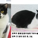 신암학교 앞 Daum카페