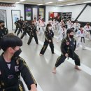 경희대 인하 태권도 이미지