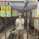 서천레스피아공원 이미지