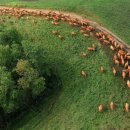 웰빙목장 이미지