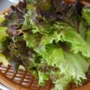 문래돼지불백 이미지