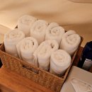 창평농장 | 담양 글램핑 추천 광주근교 감성캠핑 포레스트창평 후기