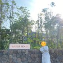 남해-266 | [남해] 아난티(펜트하우스 B동 숙소&amp;수영장&amp;조식/석식 후기)