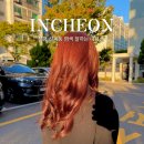 산곡 | 부평 산곡동 미용실 로이드밤 산곡역점 염색 후기