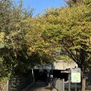 하늘공원(하부) 이미지