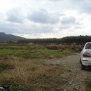 금호강영천 이미지