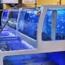 총각네 강아지 이미지