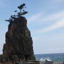 오산항낚시터 | 해파랑길 16일 차
