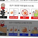 13 | 브로멜라인 효소 13kg 감량 후기