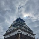 (주)포켓메모리 | 일본여행 오즈모포켓3대여 고프로렌탈 인천공항 수령 반납 후기