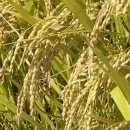 농업기술센터 농기계민원실 이미지