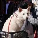 미휘트니스 이미지