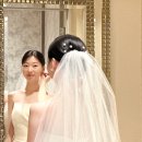 노보텔앰배서더 강남 이미지