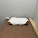 의료법인 성누가의료재단 성누가병원 | [ 은평구 수액맛집 성누가병원] 컨디션 회복 제대로 하고 온 날 💉😊