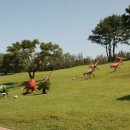 중문통나무휴양펜션 이미지