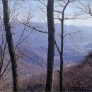 노송축사 이미지