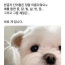 기억