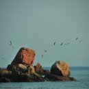 푸른파도 이미지