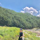 용오름캠핑장 이미지