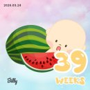 임신후기 20탄 임신 39주 기록 | 요단백, 유도분만, 산책,이슬비침