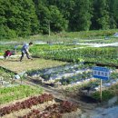 예천농장 이미지