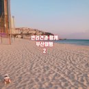 명성장모텔 | :: 솜이와 함께 부산여행 :: 2탄