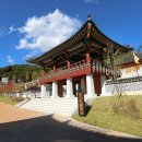 안동역<=>한국문화테마파크 순환 | 경북 안동여행지 산성마을 한국문화테마파크 안동역 순환버스 아이와갈만한곳