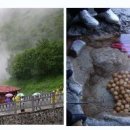 (주) 천지관광 이미지