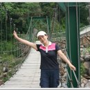 대성골2 Daum카페