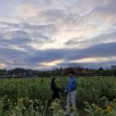 대전천북로 이미지