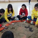 쌍용초등학교 이미지