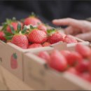 영덕 물가자미 전문점 이미지