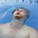 혜안여행사