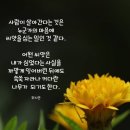 마음의 씨앗 이미지