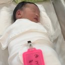 웰하이여성아동병원 네이버블로그