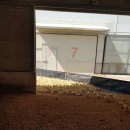 분동농장 이미지