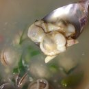 오씨네칼국수 이미지